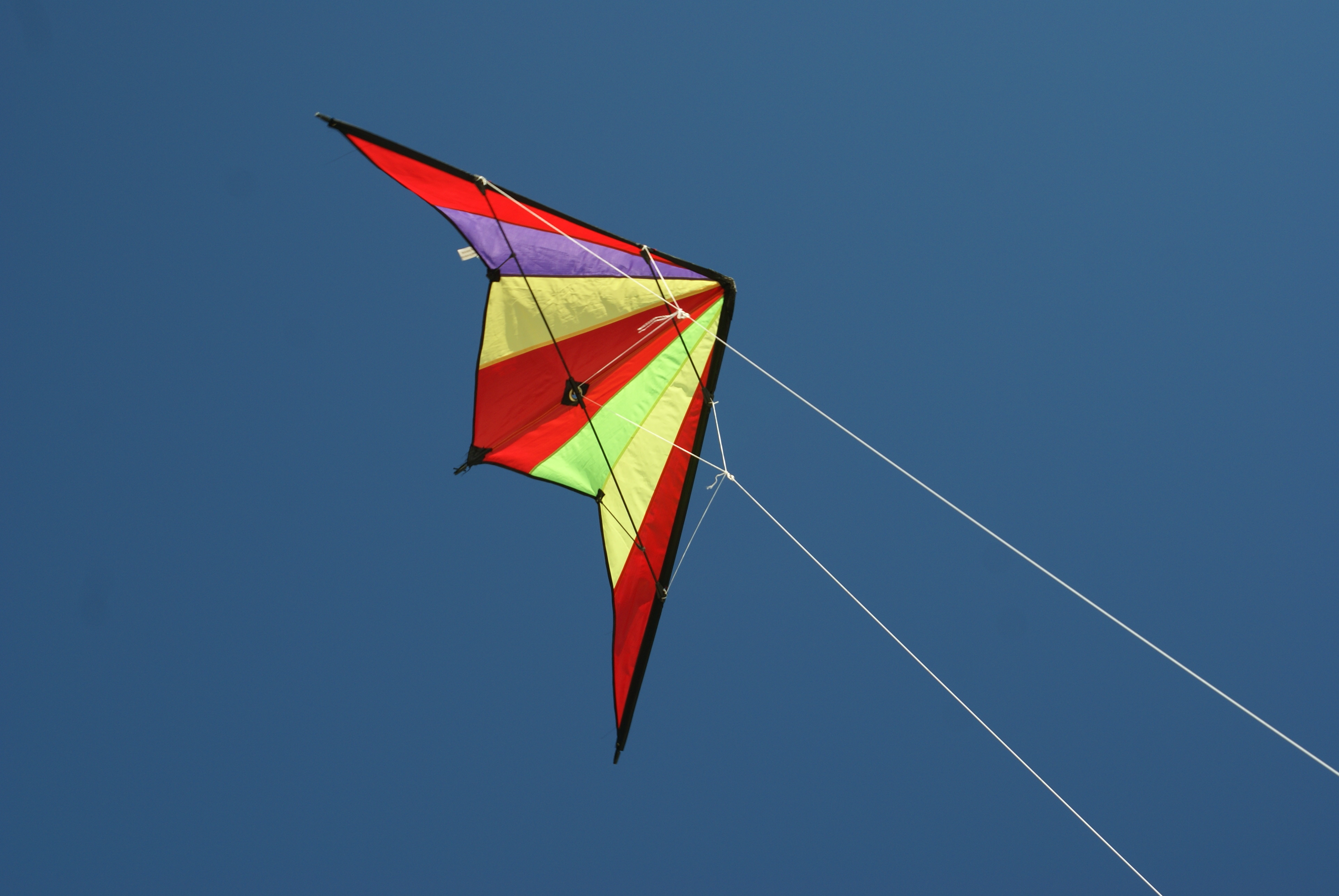 Kite Flying